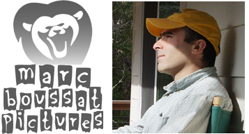 marc boussat pictures